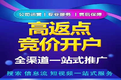 成功sem公司的策略与执行