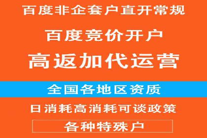 揭秘百度竞价代理：实战案例分析